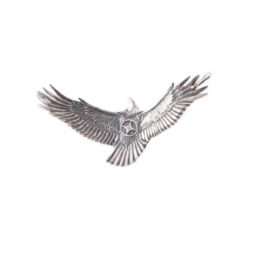 Horizon Blue Sun Shadow Eagle