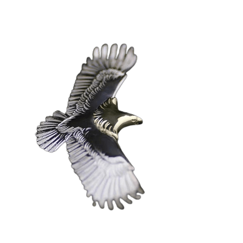 Tady King Copper Head Silver Eagle Pendant