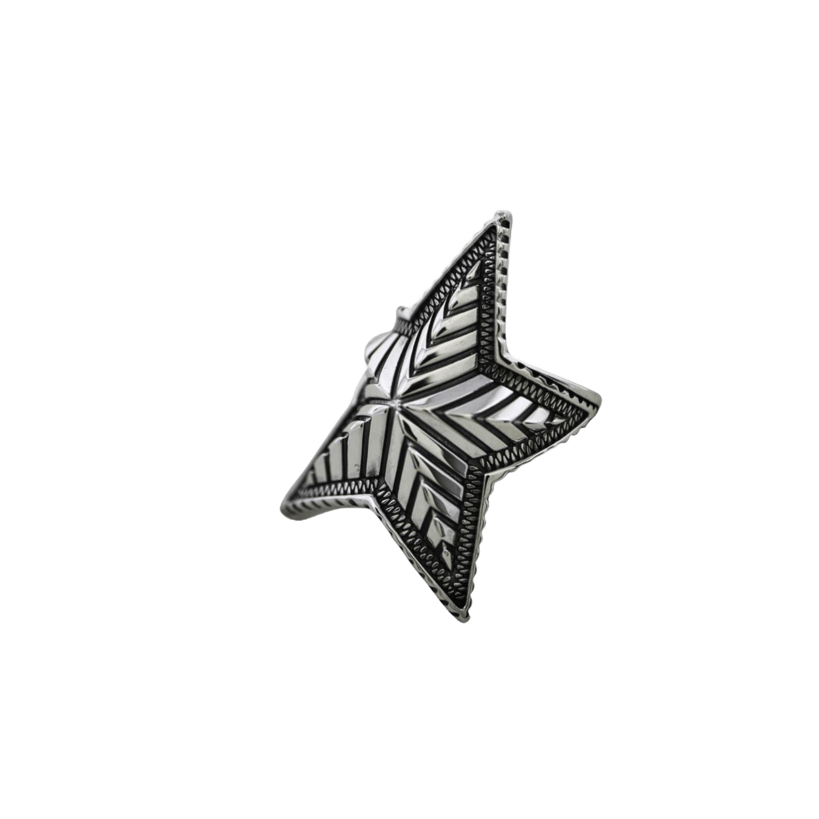 アクセサリー CODY SANDERSON DEPP STAR IN STAR RINGS Cody Sanderson Small Depp Star Ring - Native Feather | 日本