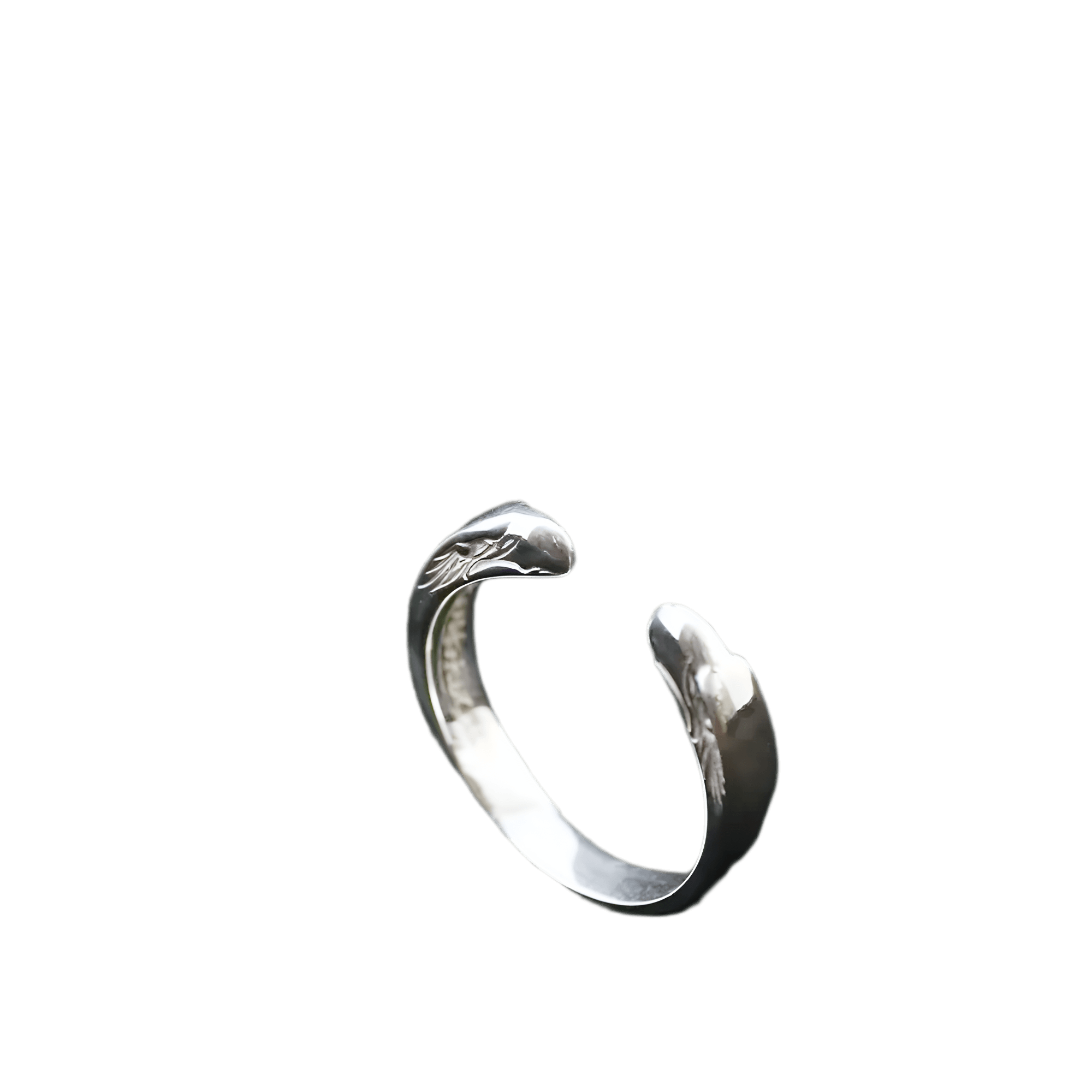 Ken Kikuchi Ring