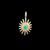 Goros Sea Urchin With Gold Rope Turquoise