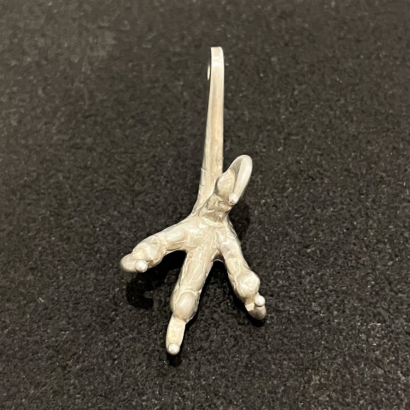 Silver Claws - Facing Right  | Goros Feather Authorized Dealer